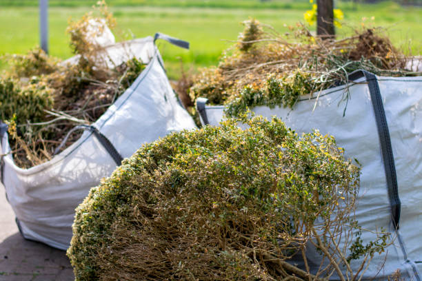 Same-Day Junk Removal Services in Independence, WI